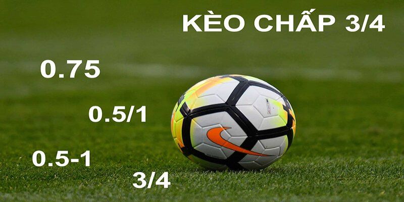 🎯 Cách đọc kèo chấp 0,75 cho người mới